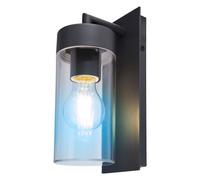 Applique extérieure dimmable avec télécommande Lampe de porte d'entrée anthracite Applique LED de façade, changement de couleur RGB,4,8W 470lm blanc chaud, l x h 8,9 x 25 cm