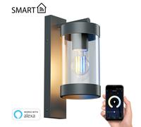 Applique extérieure LAIFA anthracite mat verre/inox incl. lampe E27 Smart Home