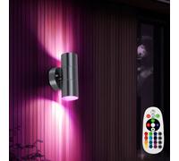 Applique Lumière Extérieure Murale RGB LED Télécommande Dimmable Inox Gris