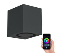 Applique murale ALSE Downlight pour l'extérieur anthracite aluminium carr