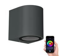 Applique murale ALSE Downlight pour l'extérieur anthracite aluminium rond in