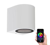 Applique murale ALSE Downlight pour l'extérieur blanc aluminium rond in