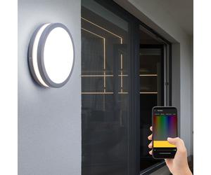 Applique murale d'extérieur lampe d'extérieur applique murale plafonnier plafonnier maison mur, commande vocale dimmable minuterie IP44, acier argent, 1x LED 14W 1440Lm 3000K, DxH 26x9.5cm