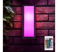 Applique Murale Extérieur Feu Avant Jardin Noir Télécommande Balcon RGB LED