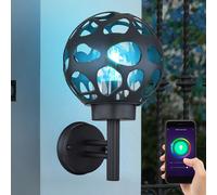Applique Murale Jardin Lumière Extérieure Inox Boule App Tdc Smart RGB LED