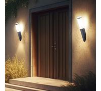 Lot de 2 appliques murales d'extérieur façades lampe torche de jardin INOX anthracite dans un set comprenant des ampoules LED