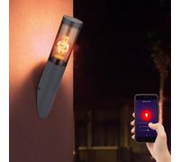 Applique d'extérieur applique murale en acier inoxydable lampe torche lampe de jardin extérieur, fumée anthracite, contrôle par application CCT, Smart RGB LED 8,5W 806Lm, DxH 7,6x40 cm