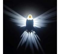 Applique murale LED 3D en forme d'animaux - Hibou magique - En résine - Impression 3D - Pour chambre à coucher, salon, escalier, couloir, cuisine, pub, café (sans batterie)