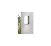 Applique Murale Led Indus pour Entrée Anthracite IP54 Trio Lighting