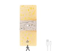 Applique murale LED Moderne avec détecteur de mouvement Intérieur Dimmable Lampe murale en acrylique avec interrupteur Sans raccordement électrique Veilleuse rechargeable par USB avec aimant 1200mAh,C
