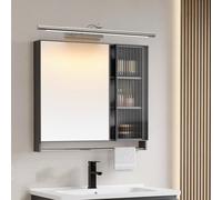 Applique murale LED pour miroir de salle de bain, orientable à 270°, angle réglable, moderne et étanche, alimentée par secteur, à placer au-dessus d'un meuble-lavabo (lumière chaude argentée, 100 cm)