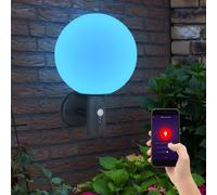 Lampe d'extérieur Applique murale avec détecteur de mouvement Lampe de jardin Lampe de façade en acier inoxydable, boule de verre, contrôle par application, Smart RGB LED 10W 806Lm, DxH 25x37 cm