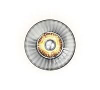 Design By Us - New Wave Optic Applique Murale Fumé Design by Us