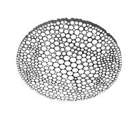 Applique murale/plafonnier LED Calipso App Control H x Ø 7.6x52.6cm