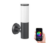 Applique murale PORU pour l'extérieur acier inoxydable anthracite incl. E27 LED [EEK: F]