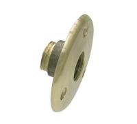 Applique sortie de cloison laiton - F 1/2 - Watts industrie