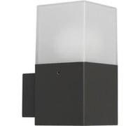 Applique SHEILA Multicolore G