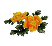 Appliques for Clothes,Embroidered Flower Fabric Patches,Embroidered Appliques Sew Iron on Patches(Gold)