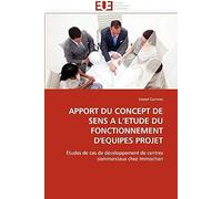 Apport Du Concept De Sens A L'etude Du Fonctionnement D'equipes Projet: Etudes De Cas De Développement De Centres Commerciaux Chez Immochan (Omn.Univ.Europ.)