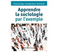 Apprendre la sociologie par l'exemple 3ème édition - François Singly - Armand Colin - broché - Manuel