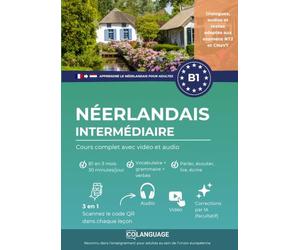 Apprendre le néerlandais B1 intermédiaire. Cours complet avec vidéo et audio: Apprendre le néerlandais B1 avec textes, grammaire et audios. Pour l'étude autonome ou avec un professeur. NT2 and CNaVT.