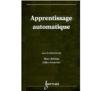Apprentissage automatique Gilles Venturini (Auteur), Marc SEBBAN (Auteur)