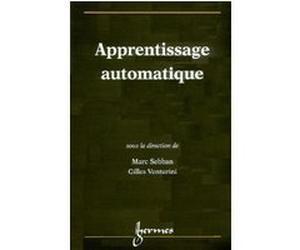 Apprentissage automatique Gilles Venturini (Auteur), Marc SEBBAN (Auteur)