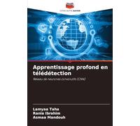 Apprentissage profond en télédétection