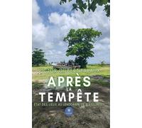 Après la tempête État des lieux au lendemain de blessures... - Victor Gilbert Faraux - Le Lys Bleu - broché - Roman