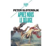Après nous le déluge Peter Sloterdijk (Auteur), Olivier Mannoni (Traduction)