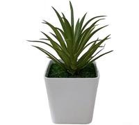 Aprilsunnyzone Bonsaï artificiel carré en plastique à l'aloe vera (A)