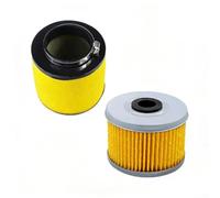 Aprilsunnyzone Filtre à air de rechange, pour Honda TRX300, TRX400 pour TRX450, pour moto Fourtrax Foreman pour 17254-HC5-900(B)