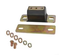 Aprilsunnyzone Kit de montage de transmission arrière en polyuréthane | Pour polyuréthane et acier de qualité supérieure, réduit la transmission pour Flex, compatible avec TH350/TH400/700R4/T56