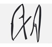 Aprilsunnyzone Paire de joints d'étanchéité en caoutchouc noir pour portes avant Nissan D22 Pickup 1998-2005 pour 80331-2S400 80330-2S400