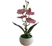Aprilsunnyzone Petite orchidée papillon en pot pour un placement réfléchi dans des étagères ou des murs de galerie (rose rouge)
