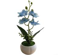 Aprilsunnyzone Petite orchidée papillon en pot pour un placement réfléchi dans des étagères ou des murs de galerie (bleu)