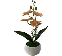 Aprilsunnyzone Petite orchidée papillon en pot pour un placement réfléchi dans des étagères ou des murs de galerie (jaune)