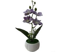 Aprilsunnyzone Petite orchidée papillon en pot pour un placement réfléchi dans des étagères ou des murs de galerie (violet)