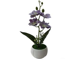 Aprilsunnyzone Petite orchidée papillon en pot pour un placement réfléchi dans des étagères ou des murs de galerie (violet)