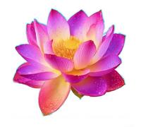 Aprilsunnyzone Sticker mural en PVC pour salle de bain effet fleur de lotus pour salle de bain, miroir, carrelage, verre, décoration en PVC pour environnement humide, convient pour une utilisation en