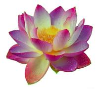 Aprilsunnyzone Sticker mural en PVC pour salle de bain effet fleur de lotus pour salle de bain, miroir, carrelage, verre, décoration en PVC pour environnement humide, convient pour une utilisation en