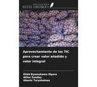 Aprovechamiento de las TIC para crear valor añadido y valor integral