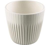 APS 85333 APS Coupe LINEO, 180 ml, blanc, set de 6 pièces