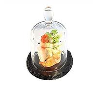 Plateau en ardoise avec cloche en verre APS
