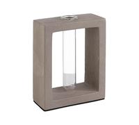 APS Vase avec Insert en Verre 10 x 4,5 cm Hauteur 12,5 cm