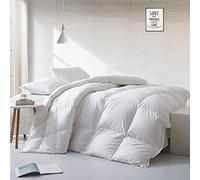 APSMILE Couette légère en Duvet, 155 x 220 cm, Collection Hotel - avec Duvet d'oie et Plumes - pour Temps Chaud/dormeurs Chauds (155 x 220 cm, Blanc)