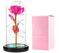 APT AG776B Rose LED dans un vase en verre rose