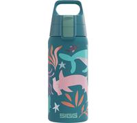 Apt-- Gourde Enfant Isotherme - Shield One Therm Blue World - Convient Aux Boissons Gazeuses - ¿¿Tanche - Passe Au Lave Vaisselle - Pour L'¿¿Cole - Sans Bpa - Acier Inoxydable - Bleu - Oc¿¿An - 0,5l