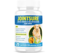 Apt-Senior ¿ Boite De 120 Comprimés À Base De Glucosamine Anti-Inflammatoire Pour Arthrose Chien - Moule Verte - Aide À La Mobilité Articulaire, Renforce Les Articulations.