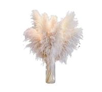 ApuaVireo&Co Bouquet de Fleurs séchées en Herbe de la Pampa, Grand Format de 50 cm, Roseau Artificiel for décoration d'intérieur, de Noël ou de Mariage(Beige,10pcs No Vase)